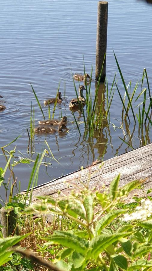 Buiten Huisje Aan De Vaart 1 Matsloot Bagian luar foto